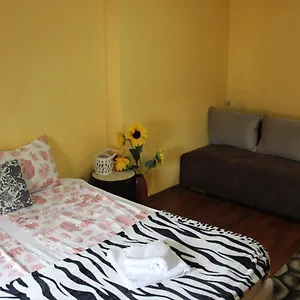  Apartment Vitoshka Biggest Bulgaria