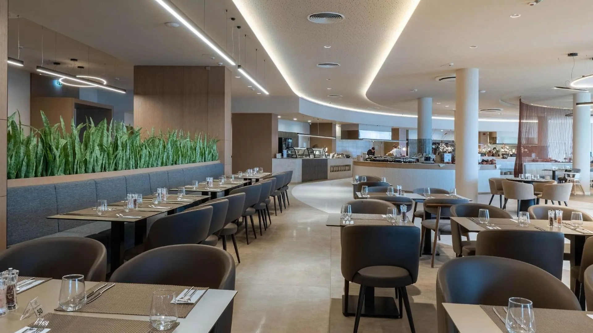 Hotel Grifid Noa Golden Sands 5*,  Bulgaria